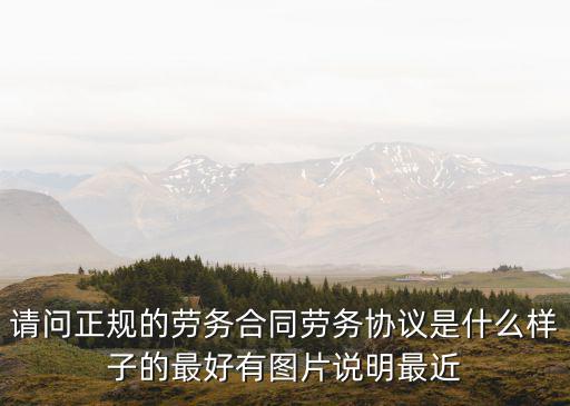 請(qǐng)問(wèn)正規(guī)的勞務(wù)合同勞務(wù)協(xié)議是什么樣子的最好有圖片說(shuō)明最近