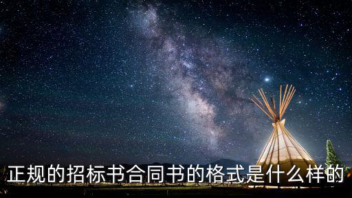正規(guī)的招標(biāo)書合同書的格式是什么樣的
