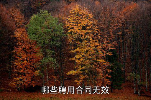 無效勞動合同主要有哪些，勞動合同無效包括哪些內(nèi)容