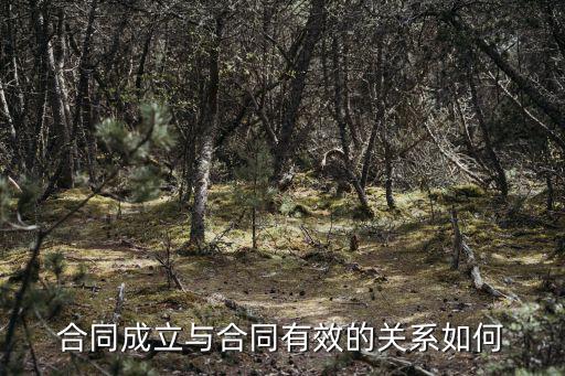 合同成立與合同有效的關系如何