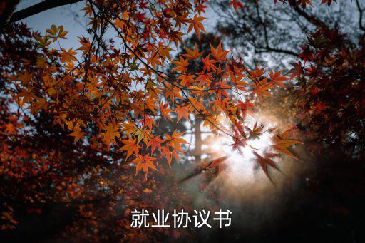 就業(yè)協(xié)議書