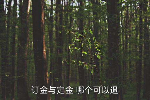 定金與訂金哪個能退沒簽合同，訂金與定金 哪個可以退