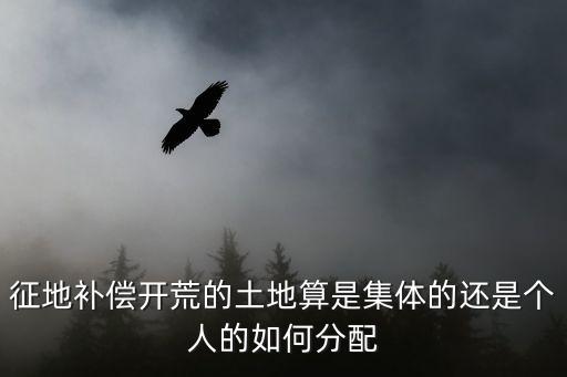 征地補(bǔ)償開(kāi)荒的土地算是集體的還是個(gè)人的如何分配