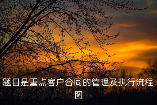 題目是重點(diǎn)客戶合同的管理及執(zhí)行流程圖