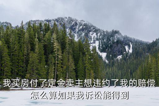 我買房付了定金賣主想違約了我的賠償怎么算如果我訴訟能得到