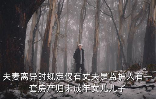 夫妻離異時規(guī)定僅有丈夫是監(jiān)護人有一套房產(chǎn)歸未成年女兒兒子