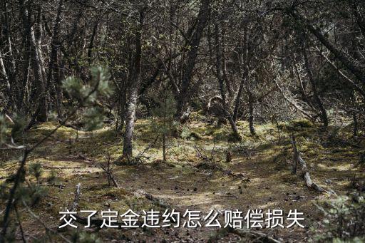 交了定金違約怎么賠償損失