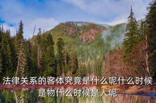 法律關(guān)系的客體究竟是什么呢什么時候是物什么時候是人呢