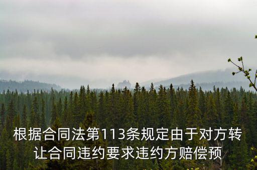 根據(jù)合同法第113條規(guī)定由于對方轉(zhuǎn)讓合同違約要求違約方賠償預(yù)