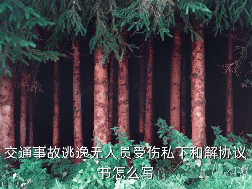 交通事故逃逸無(wú)人員受傷私下和解協(xié)議書(shū)怎么寫(xiě)