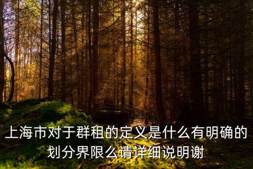 上海市對于群租的定義是什么有明確的劃分界限么請詳細(xì)說明謝