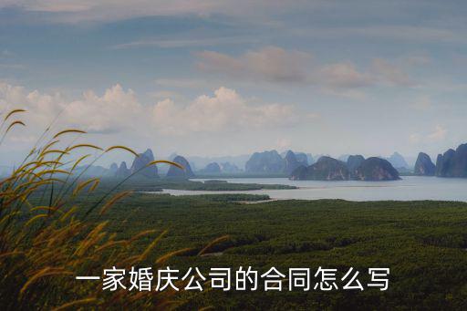 一家婚慶公司的合同怎么寫