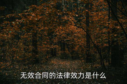 無效合同的法律效力是什么