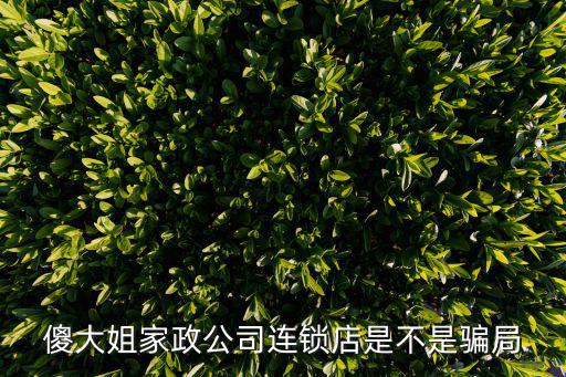 傻大姐家政公司連鎖店是不是騙局