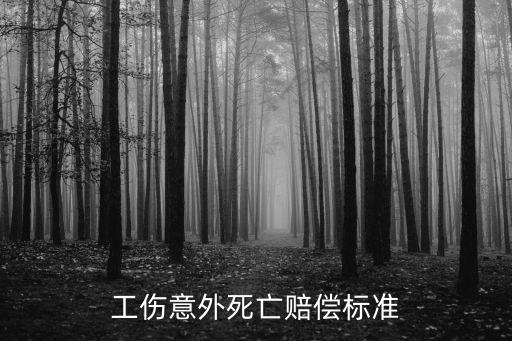 民法典工傷死亡賠償標準，工傷意外死亡賠償標準