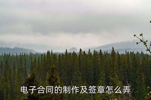 電子版合同怎么做蓋章簽字，電子版合同怎么蓋章