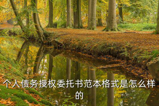 個人債務(wù)聲明范本，個人債務(wù)授權(quán)委托書范本格式是怎么樣的