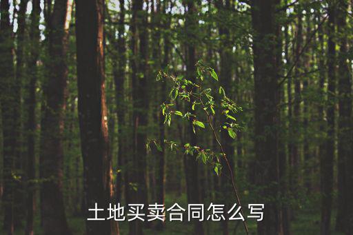 土地買賣合同怎么寫