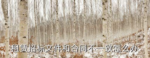 租賃招標(biāo)文件和合同不一致怎么辦
