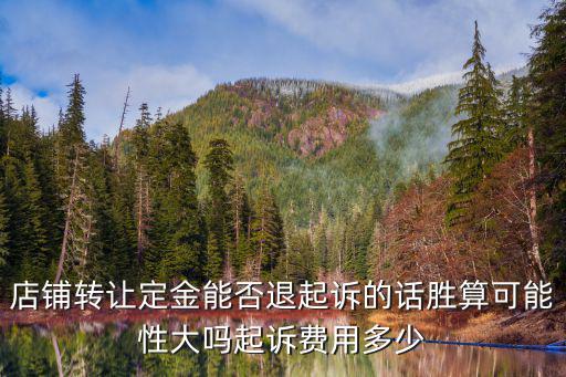 店鋪轉(zhuǎn)讓定金能否退起訴的話勝算可能性大嗎起訴費用多少