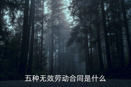 五種無效勞動合同是什么