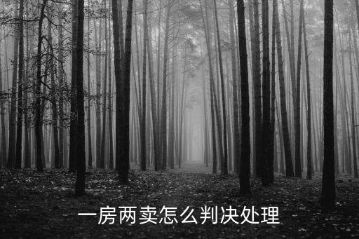 一房?jī)少u怎么判決處理