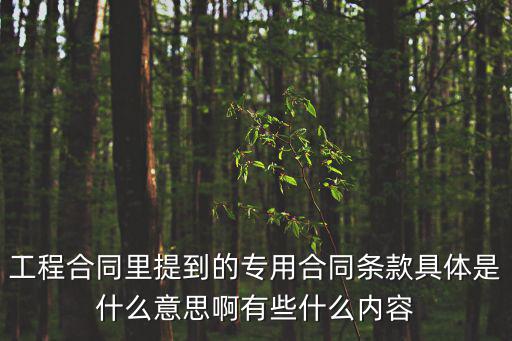 工程合同里提到的專用合同條款具體是什么意思啊有些什么內容