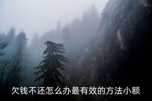 欠錢不還怎么辦最有效的方法小額