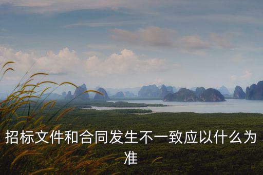 招標(biāo)文件和合同發(fā)生不一致應(yīng)以什么為準(zhǔn)