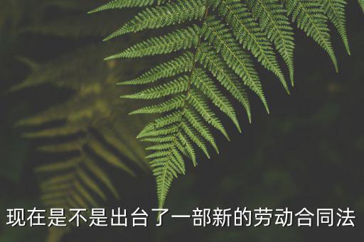 現(xiàn)在是不是出臺(tái)了一部新的勞動(dòng)合同法