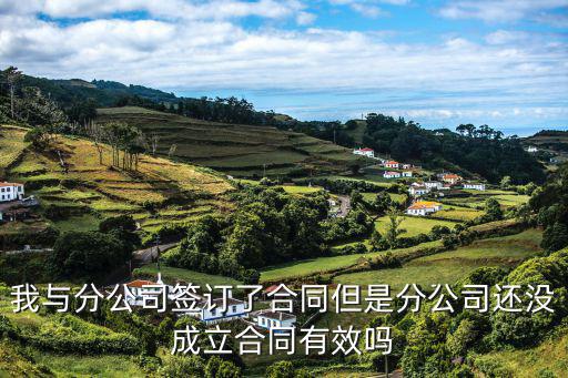 協(xié)議不成立和協(xié)議無效，合同不成立和合同無效的不同點是什么