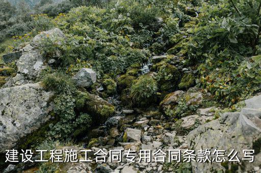 建設工程施工合同專用合同條款怎么寫