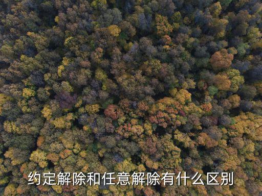 合同約定的任意解除權(quán)，合同的解除是什么權(quán)利