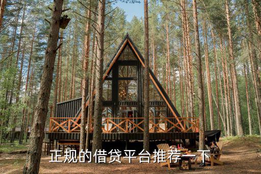 國家正規(guī)的借款平臺，國內(nèi)的網(wǎng)絡(luò)借貸平臺有哪些