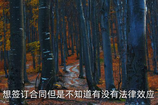 想簽訂合同但是不知道有沒有法律效應(yīng)