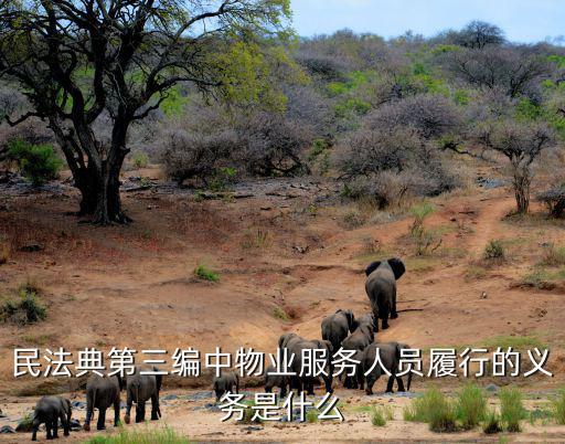 民法典第三編中物業(yè)服務(wù)人員履行的義務(wù)是什么