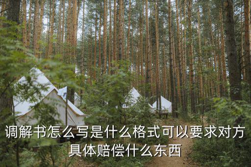 調(diào)解書(shū)怎么寫(xiě)是什么格式可以要求對(duì)方具體賠償什么東西