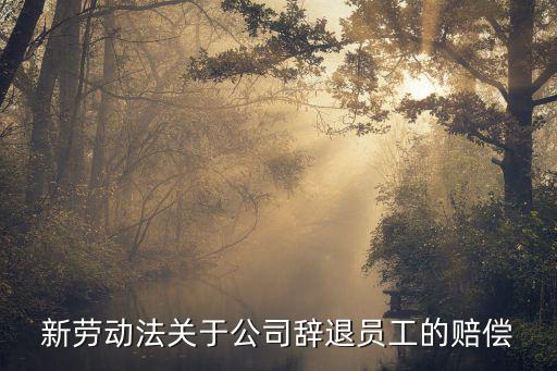 新勞動法關(guān)于公司辭退員工的賠償