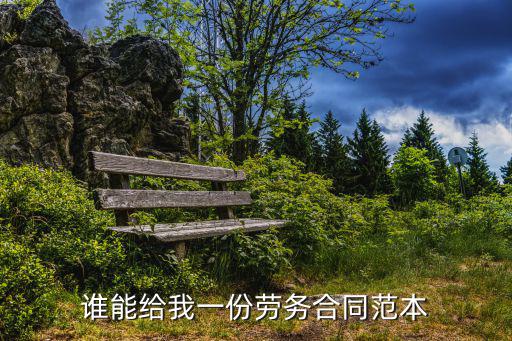 誰能給我一份勞務(wù)合同范本