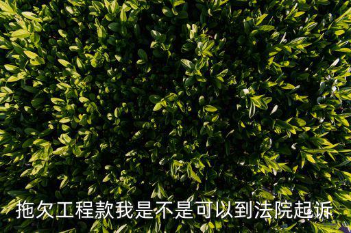 拖欠工程款我是不是可以到法院起訴