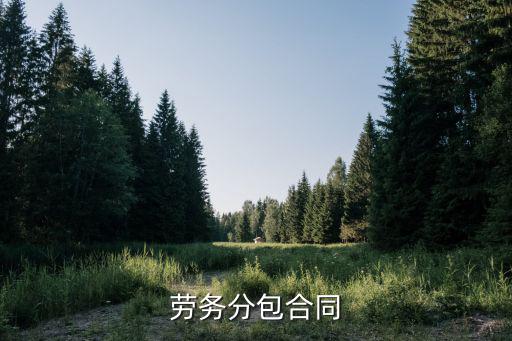 勞務(wù)分包合同