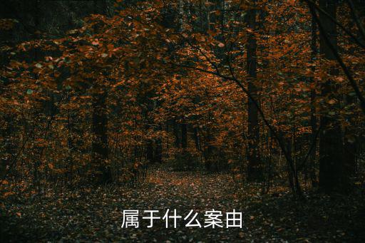 加盟合同糾紛屬于什么案由，屬于什么案由