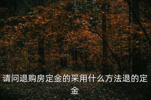 請(qǐng)問(wèn)退購(gòu)房定金的采用什么方法退的定金