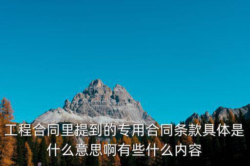 專用合同條款范本，工程合同里提到的專用合同條款具體是什么意思啊有些什么內(nèi)容