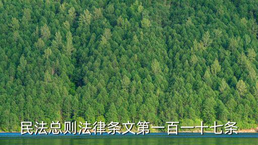 民法總則法律條文第一百一十七條