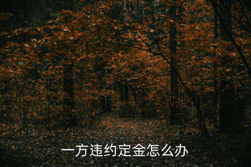 一方違約定金怎么辦