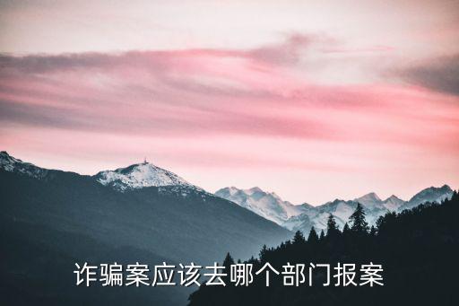 詐騙案應(yīng)該去哪個部門報案