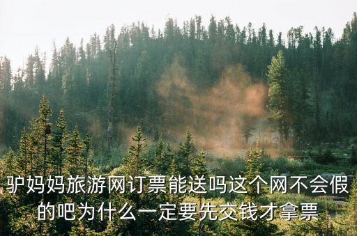 驢媽媽旅游網(wǎng)訂票能送嗎這個(gè)網(wǎng)不會(huì)假的吧為什么一定要先交錢(qián)才拿票