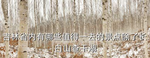 吉林省內(nèi)有哪些值得一去的景點(diǎn)除了長白山查干湖