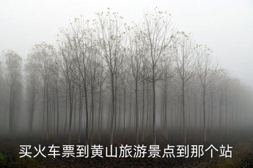 買火車票到黃山旅游景點到那個站